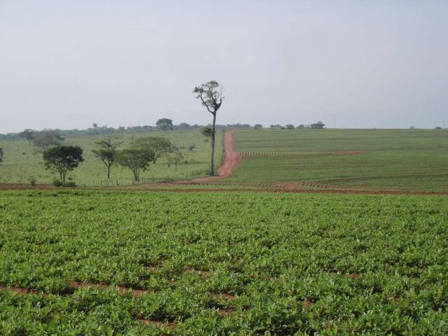 Fazenda venda em Região Imediata de Presidente Prudente, Presidente Prudente