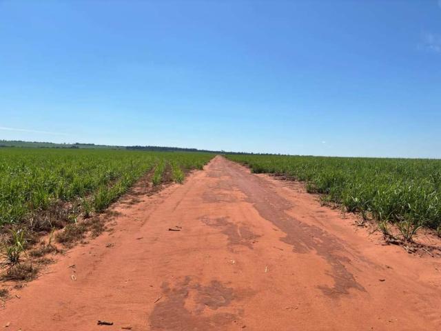 Fazenda venda em Região Imediata de Presidente Prudente, Presidente Prudente