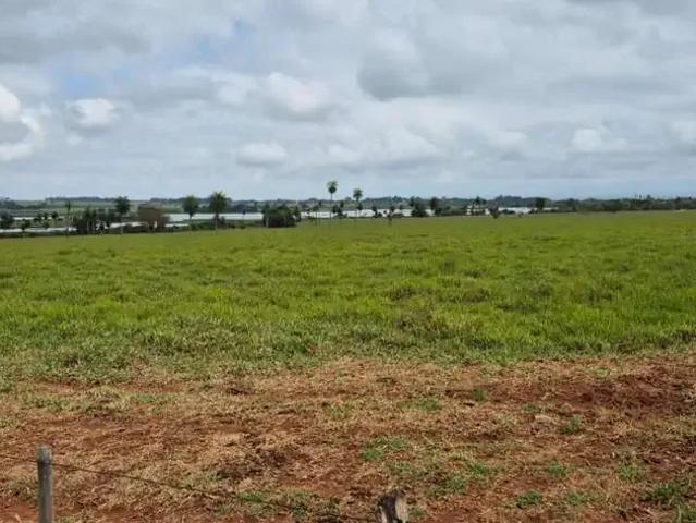 Fazenda venda em Região Imediata de Presidente Prudente, Presidente Prudente