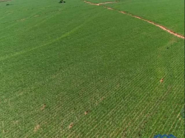 Fazenda venda em Região Imediata de Presidente Prudente, Presidente Prudente