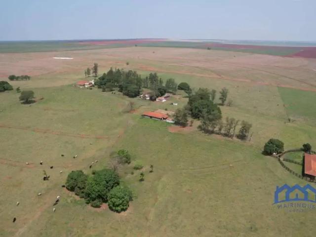 Fazenda venda em Região Imediata de Presidente Prudente, Presidente Prudente