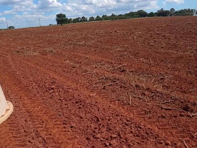 Fazenda venda em Presidente Prudente