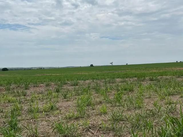 Fazenda venda em Presidente Prudente