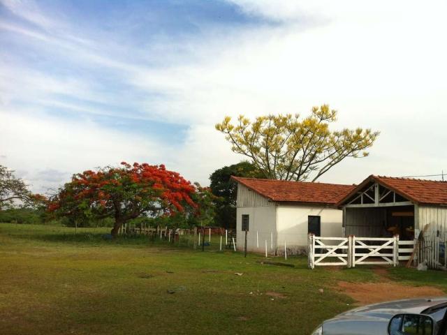 Fazenda venda em Região Imediata de Presidente Prudente, Presidente Prudente
