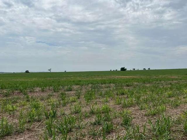 Fazenda venda em Região Imediata de Presidente Prudente, Presidente Prudente