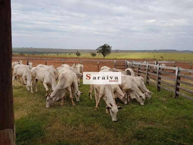 Fazenda venda em Região Imediata de Presidente Prudente, Presidente Prudente