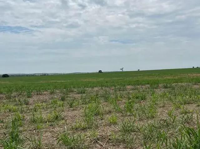 Fazenda venda em Região Imediata de Presidente Prudente, Presidente Prudente