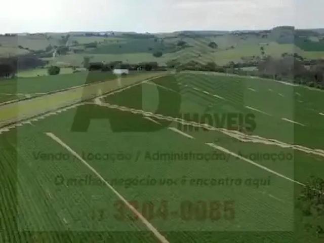 Fazenda venda em Presidente Prudente, Região Geográfica Intermediária de Presidente Prudente