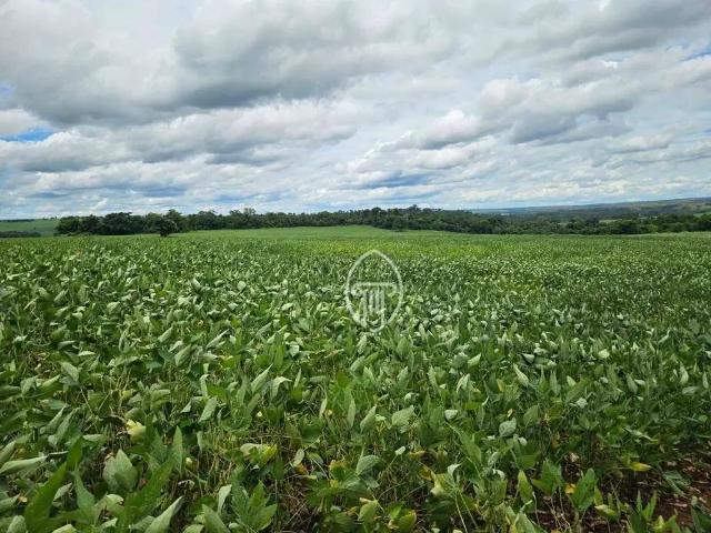 Fazenda venda em Região Imediata de Presidente Prudente, Presidente Prudente
