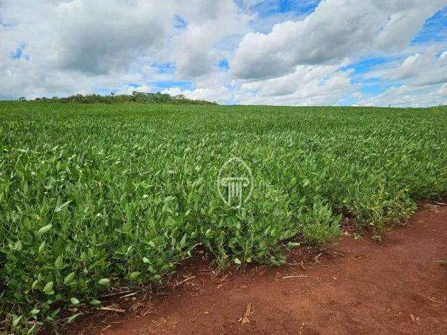 Fazenda venda em Região Imediata de Presidente Prudente, Presidente Prudente