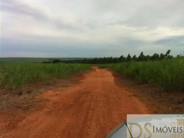 Fazenda venda em Presidente Prudente