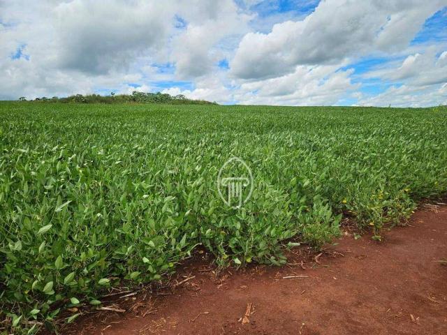 Fazenda venda em Presidente Prudente
