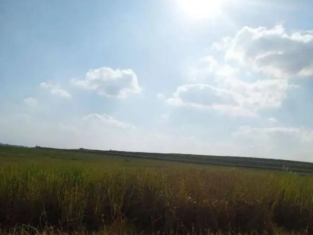 Fazenda venda em Região Imediata de Presidente Prudente, Presidente Prudente