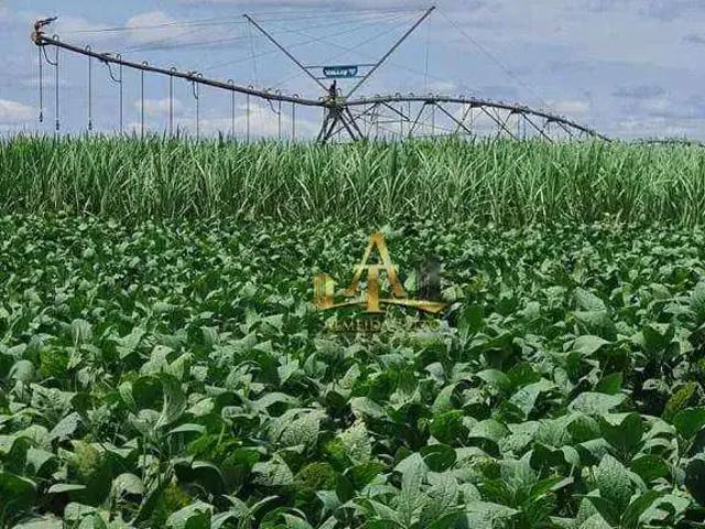 Fazenda venda em Região Imediata de Presidente Prudente, Presidente Prudente