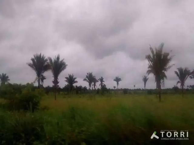 Fazenda venda em Presidente Vargas, Região Nordeste
