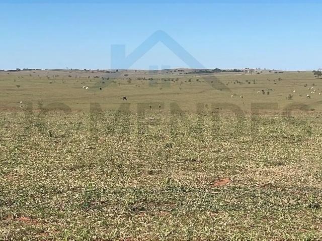 Fazenda venda em Região Imediata de Presidente Epitácio-Presidente Venceslau, Presidente Venceslau