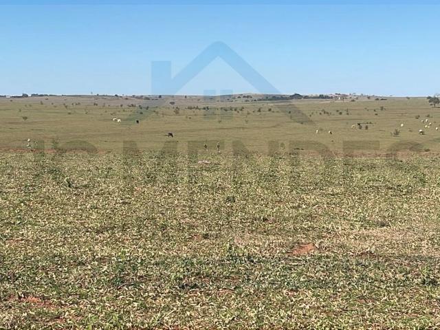 Fazenda venda em Presidente Venceslau, Região Geográfica Intermediária de Presidente Prudente
