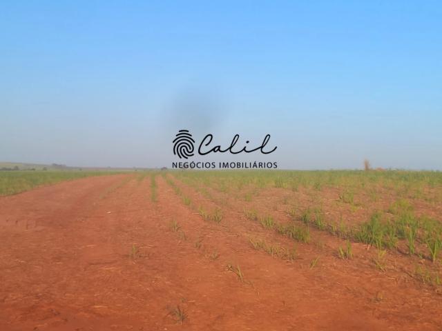 Fazenda venda em Presidente Venceslau