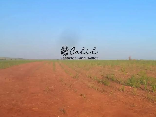 Fazenda venda em Região Imediata de Presidente Epitácio-Presidente Venceslau, Presidente Venceslau
