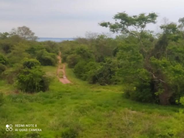 Fazenda venda em Região Imediata de Presidente Epitácio-Presidente Venceslau, Presidente Venceslau