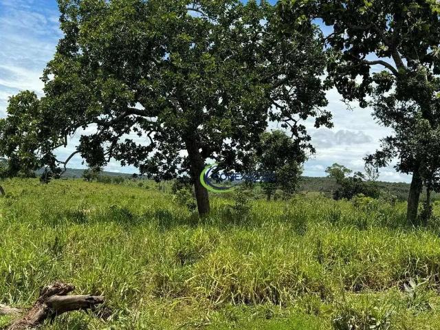 Fazenda venda em Região Geográfica Imediata de Primavera do Leste, Primavera do Leste
