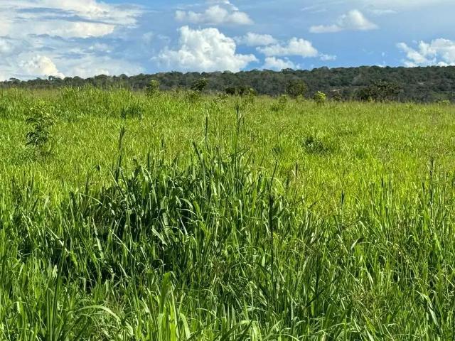 Fazenda venda em Região Geográfica Imediata de Primavera do Leste, Primavera do Leste