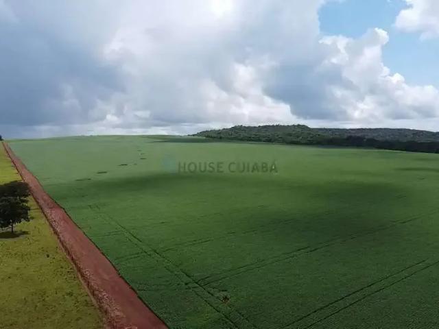 Fazenda venda em Região Geográfica Imediata de Primavera do Leste, Primavera do Leste