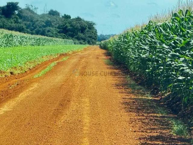 Fazenda venda em Região Geográfica Imediata de Primavera do Leste, Primavera do Leste