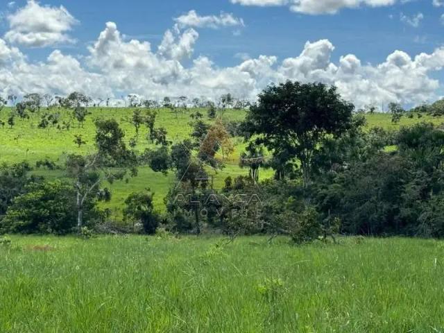 Fazenda venda em Região Geográfica Imediata de Primavera do Leste, Primavera do Leste