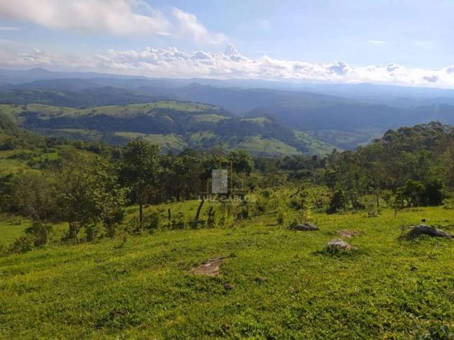 Fazenda venda em Prudentópolis, Região Geográfica Intermediária de Guarapuava