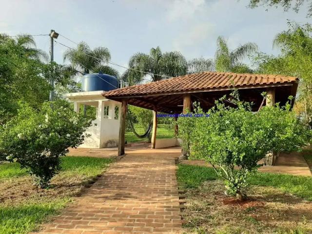 Fazenda venda em Região Imediata de Itapeva, Itapeva