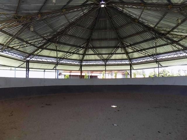 Fazenda venda em Quadra, Centro
