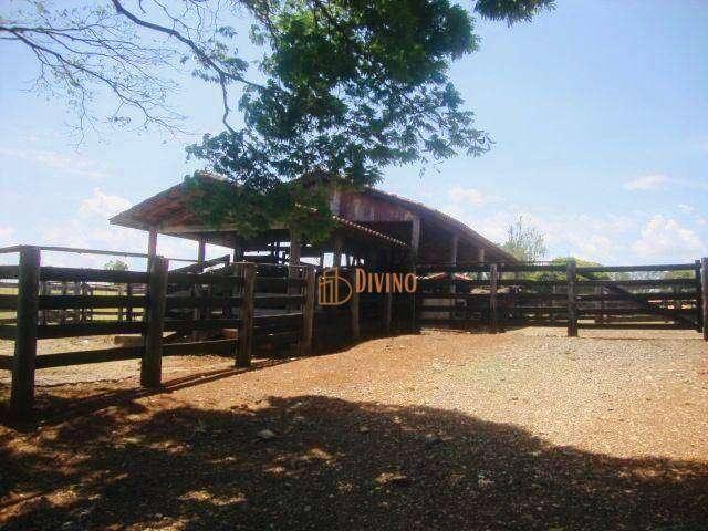 Fazenda venda em Centro, Desterro