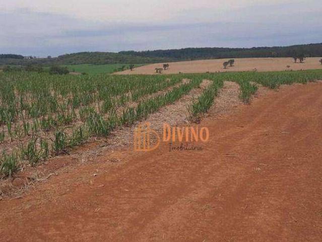 Fazenda venda em Região Geográfica Imediata de Florianópolis, Desterro