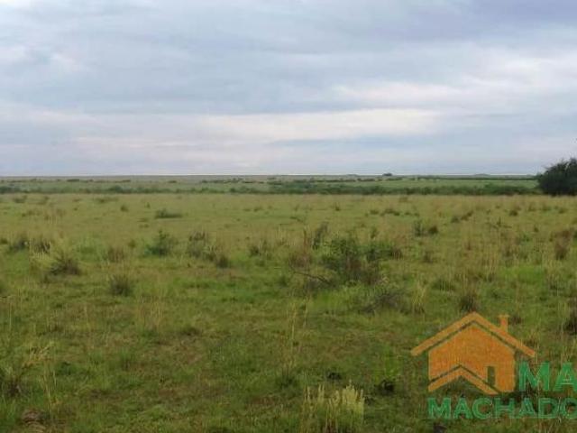 Sítio e chácara venda em Região Geográfica Imediata de Santana do Livramento, Quarai