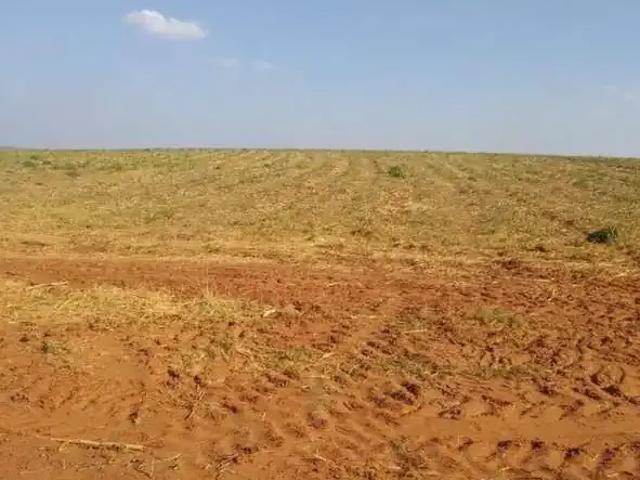 Fazenda venda em Região Imediata de Presidente Prudente, Quata