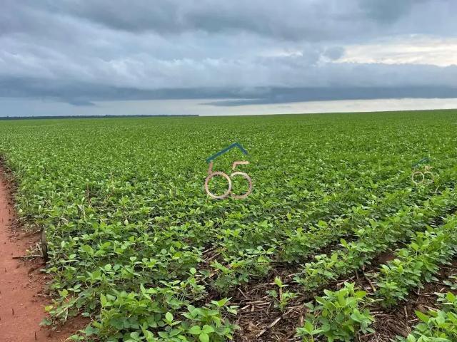 Fazenda venda em Região Geográfica Imediata de Loanda, Querência do Norte