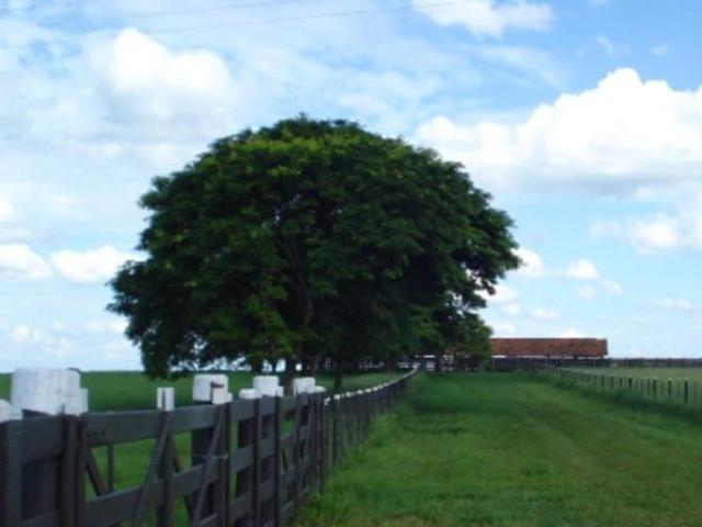 Fazenda venda em Jardim das Palmeiras, Quintana