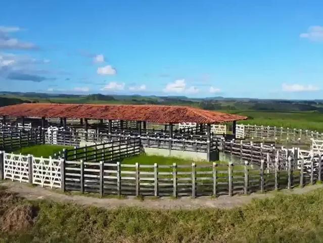 Fazenda venda em Região Geográfica Imediata de Garanhuns, Quipapa