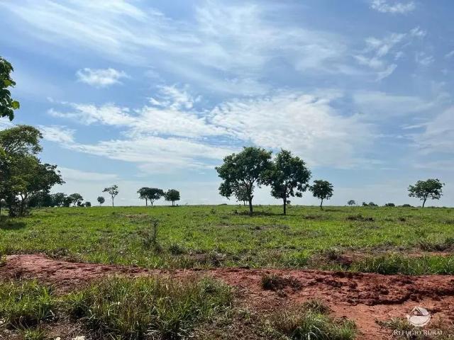 Fazenda venda em Região Geográfica Imediata de Quirinópolis, Quirinópolis