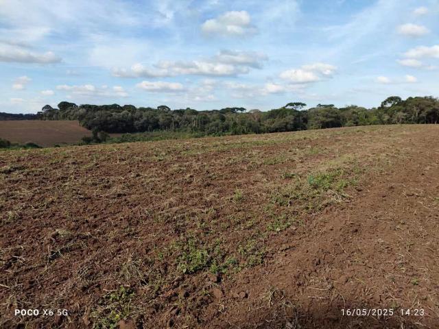 Fazenda venda em Quitandinha, Região Geográfica Intermediária de Curitiba