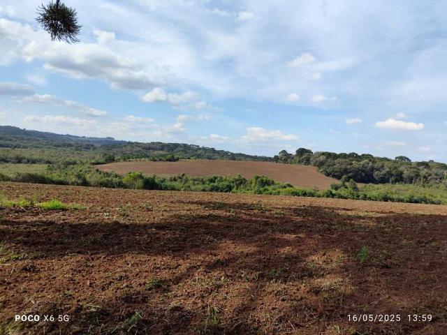 Fazenda venda em Quitandinha, Região Geográfica Intermediária de Curitiba