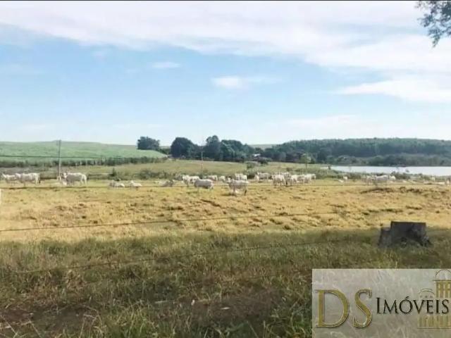 Fazenda venda em Região Imediata de Presidente Prudente, Rancharia