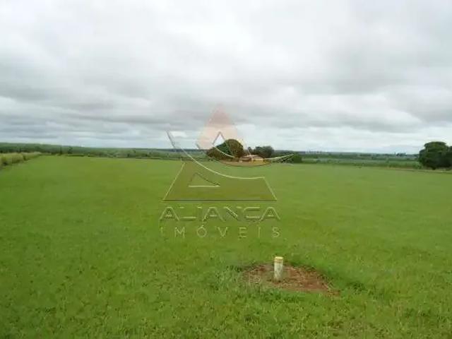 Fazenda venda em Região Imediata de Presidente Prudente, Rancharia