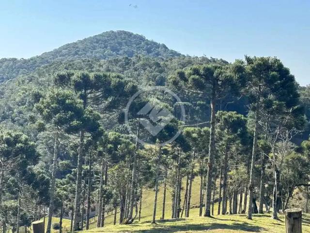 Fazenda venda em Região Geográfica Imediata de Florianópolis, Pouso Redondo