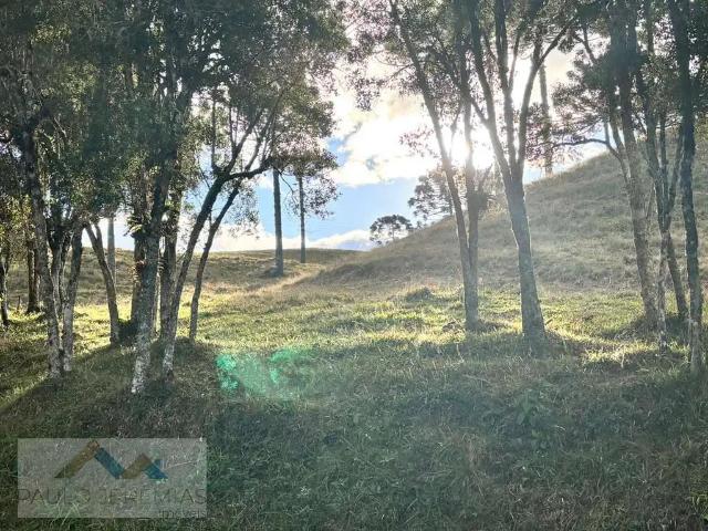 Fazenda venda em Região Geográfica Imediata de Florianópolis, Pouso Redondo