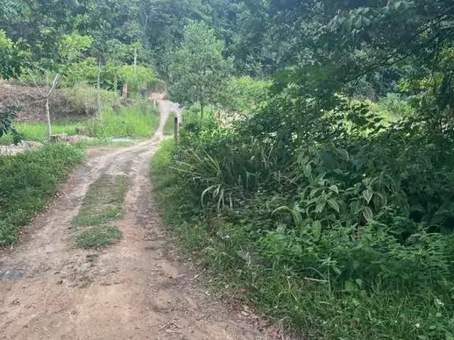 Fazenda venda em Região Geográfica Imediata do Recife, Região Metropolitana do Recife