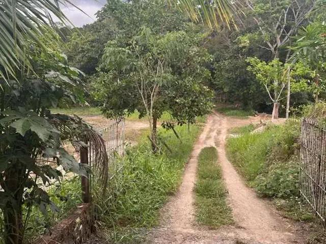 Fazenda venda em Região Geográfica Imediata do Recife, Região Metropolitana do Recife