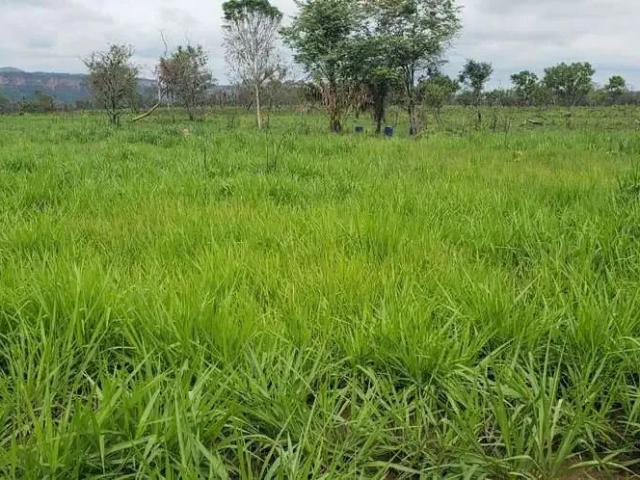 Fazenda venda em Região Geográfica Imediata de Guaraí, Recursolândia