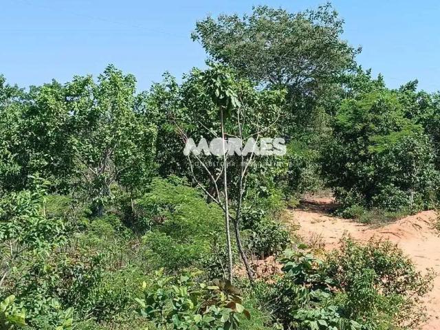 Fazenda venda em Região Geográfica Imediata de Guaraí, Recursolândia